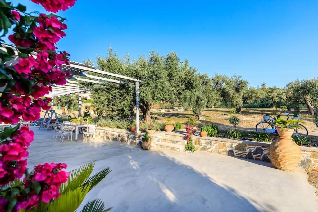 Skopelos Blue Heaven Pool Villa In Olive Grove Экстерьер фото