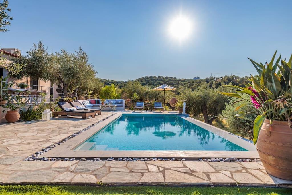 Skopelos Blue Heaven Pool Villa In Olive Grove Экстерьер фото