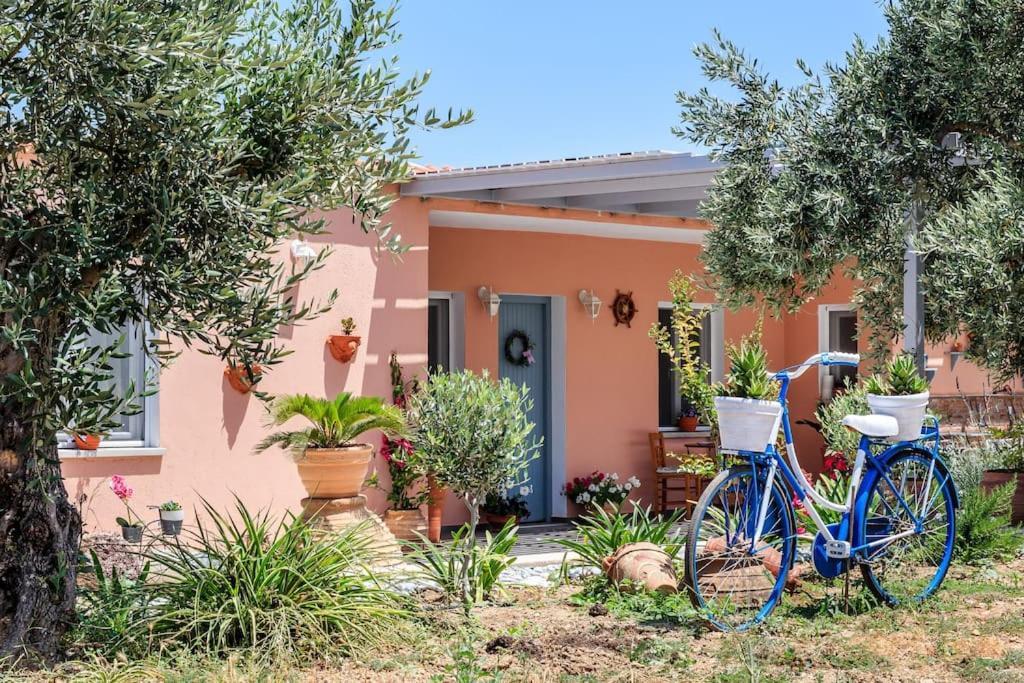 Skopelos Blue Heaven Pool Villa In Olive Grove Экстерьер фото