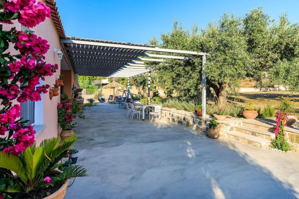 Skopelos Blue Heaven Pool Villa In Olive Grove Экстерьер фото